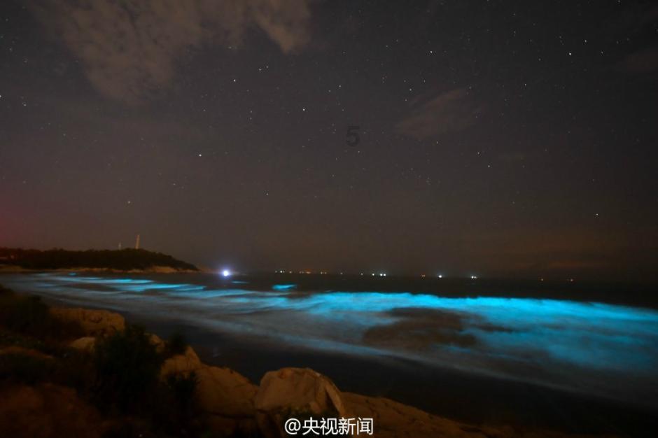 哈尔滨冰雪大世界实力“宠粉”两天雕出“冰马俑”为游客圆梦