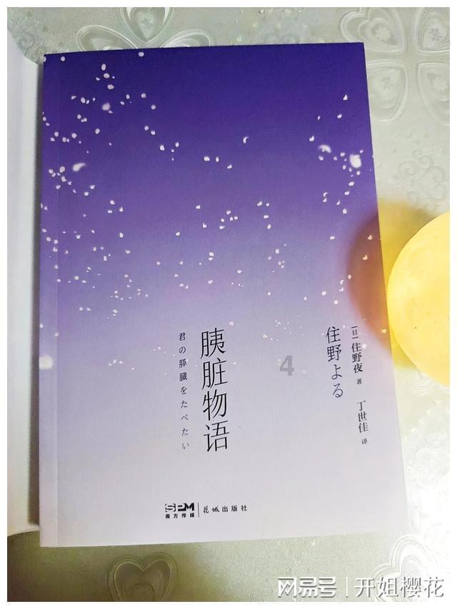 小猫钓鱼开船版最新版下载